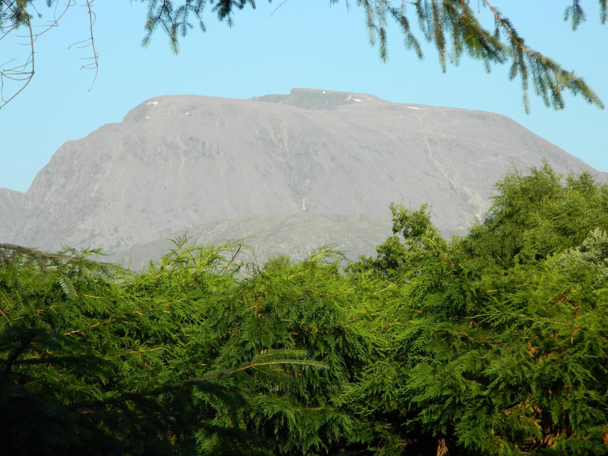 Tom Beag - Ben Nevis View Rooms Fort William Buitenkant foto