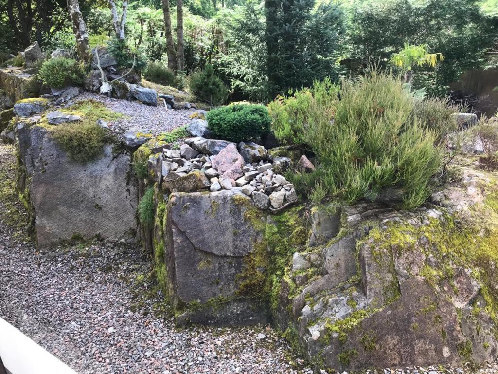 Tom Beag - Ben Nevis View Rooms Fort William Buitenkant foto