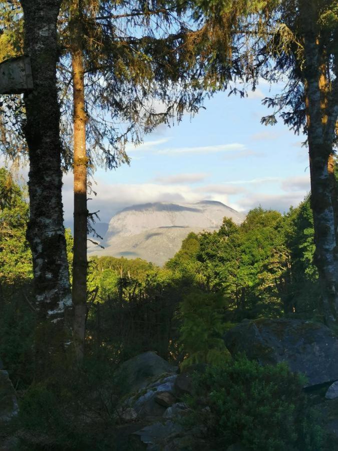Tom Beag - Ben Nevis View Rooms Fort William Buitenkant foto