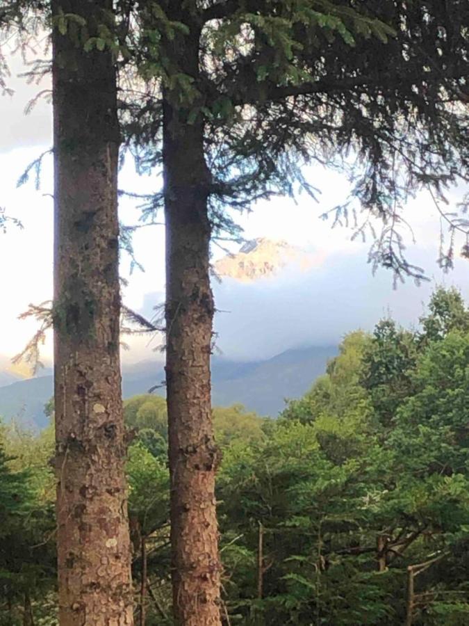 Tom Beag - Ben Nevis View Rooms Fort William Buitenkant foto