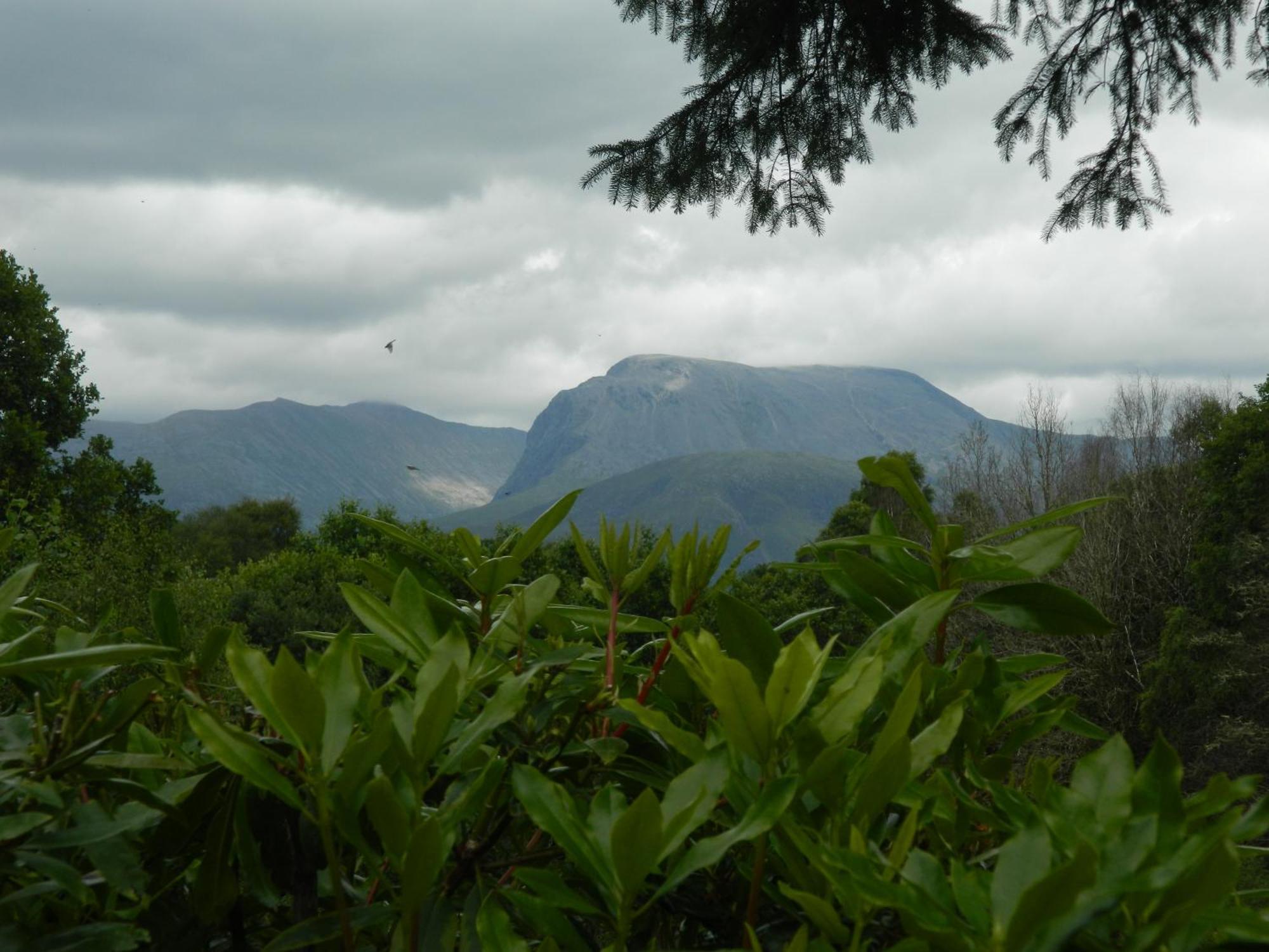 Tom Beag - Ben Nevis View Rooms Fort William Buitenkant foto