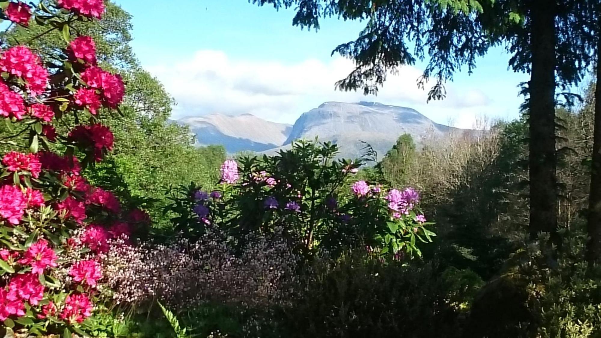 Tom Beag - Ben Nevis View Rooms Fort William Buitenkant foto